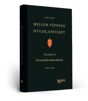 Mellom våpnene hviler ansvaret Bok