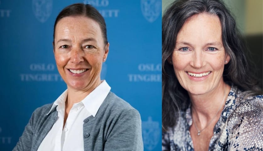 Rikke Lassen og Elisabeth Gording Stang har skrevet lovkommentarer til den nye barnevernsloven for Karnov Group Norway